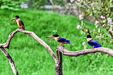 《第一后裔》出现刷宝洞 官方：不会删反将上调其他地方掉率 