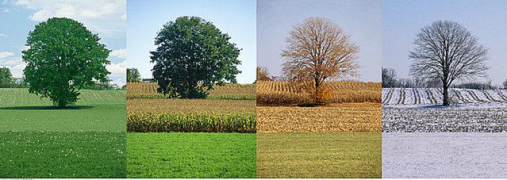 《逃离塔科夫》删档前狂欢攻略 网易UU加速器最低延迟带来极致体验